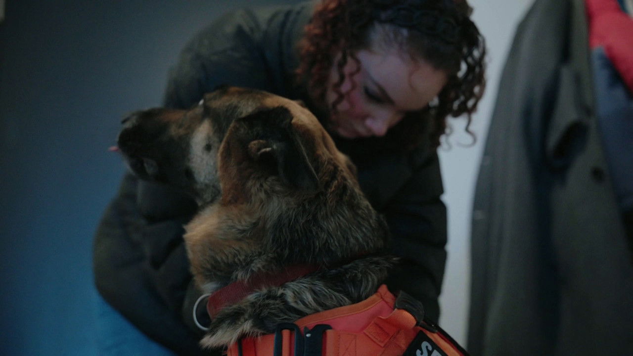 La facture — Épisode 19