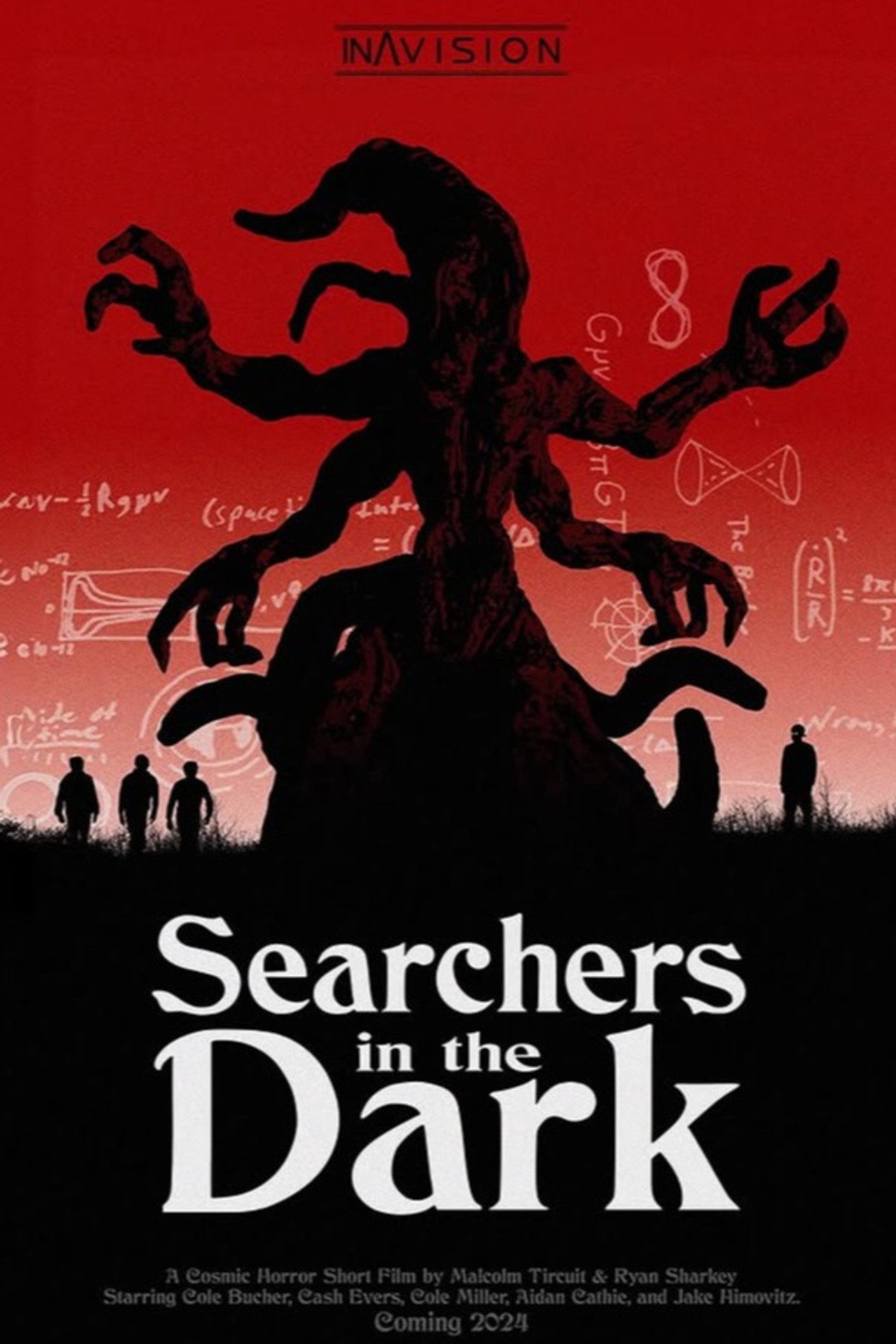 Searchers in the Dark filmaffisch
