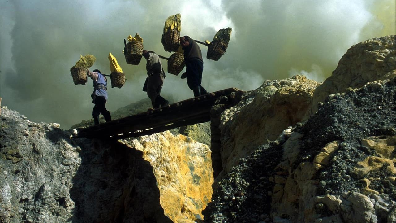 La Mort du travailleur (2005)