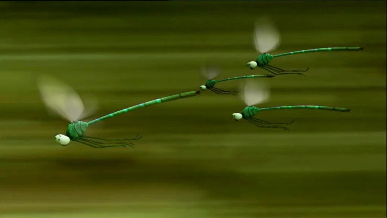 Dragonflies