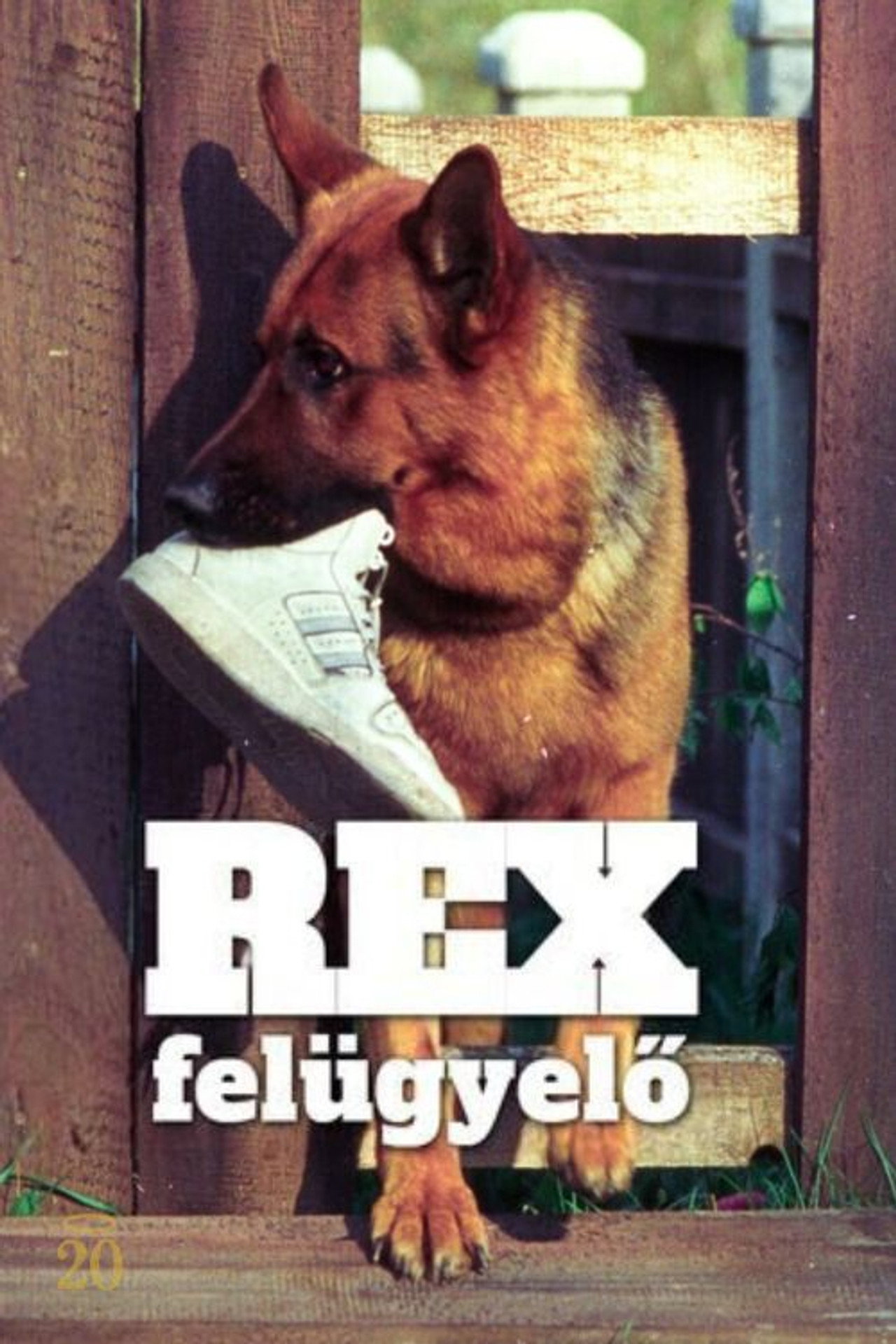 Rex felügyelő – plakát 5