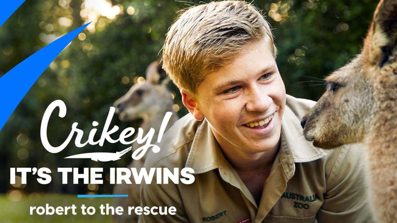 Backdrop for Crikey! It's the Irwins: Robert to the Rescue