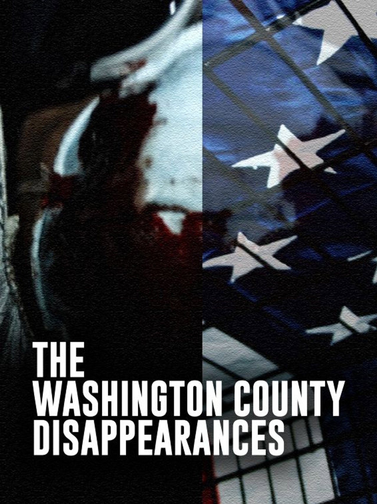 The Washington County Disappearances poster