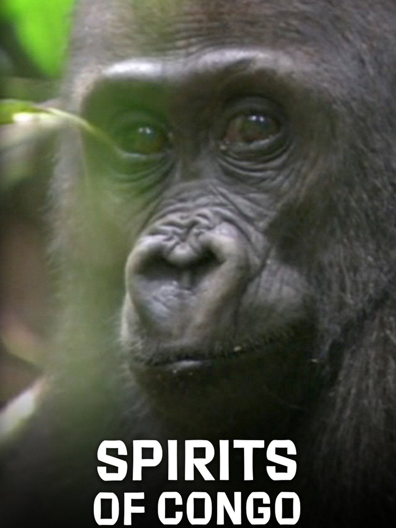 Spirits of Congo filmaffisch