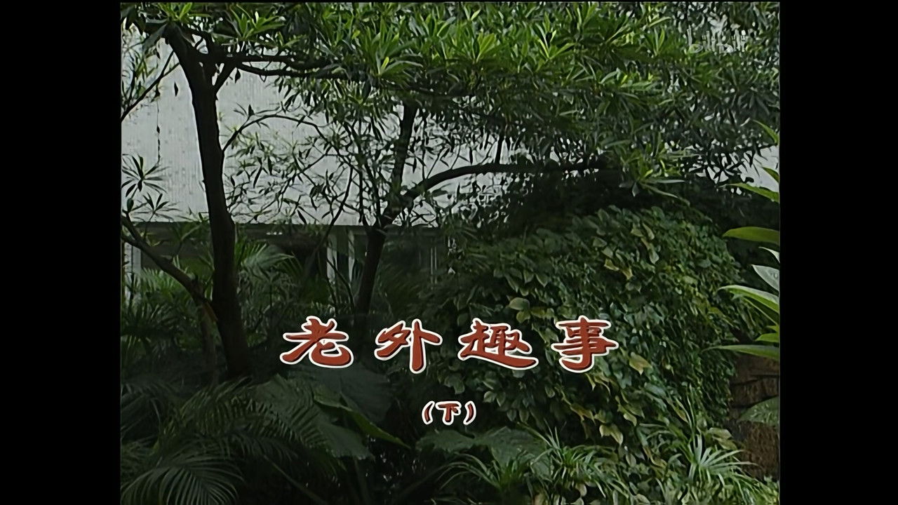 外来媳妇本地郎 — Épisode 1260