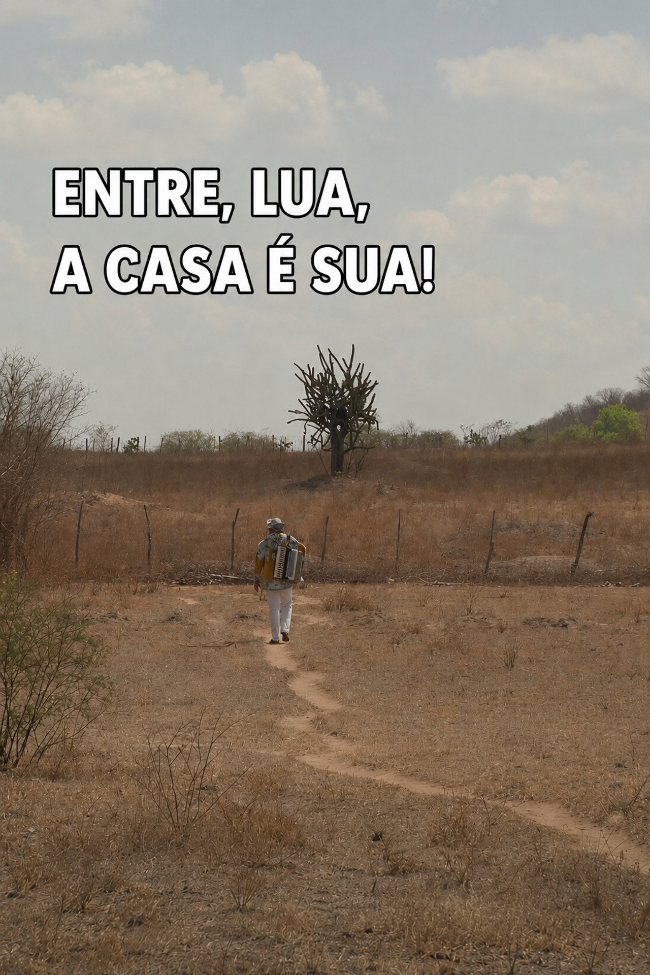 Entre, Lua, A Casa é Sua filmaffisch