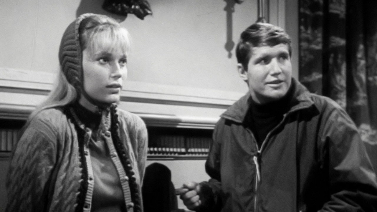 Peyton Place — Épisode 41