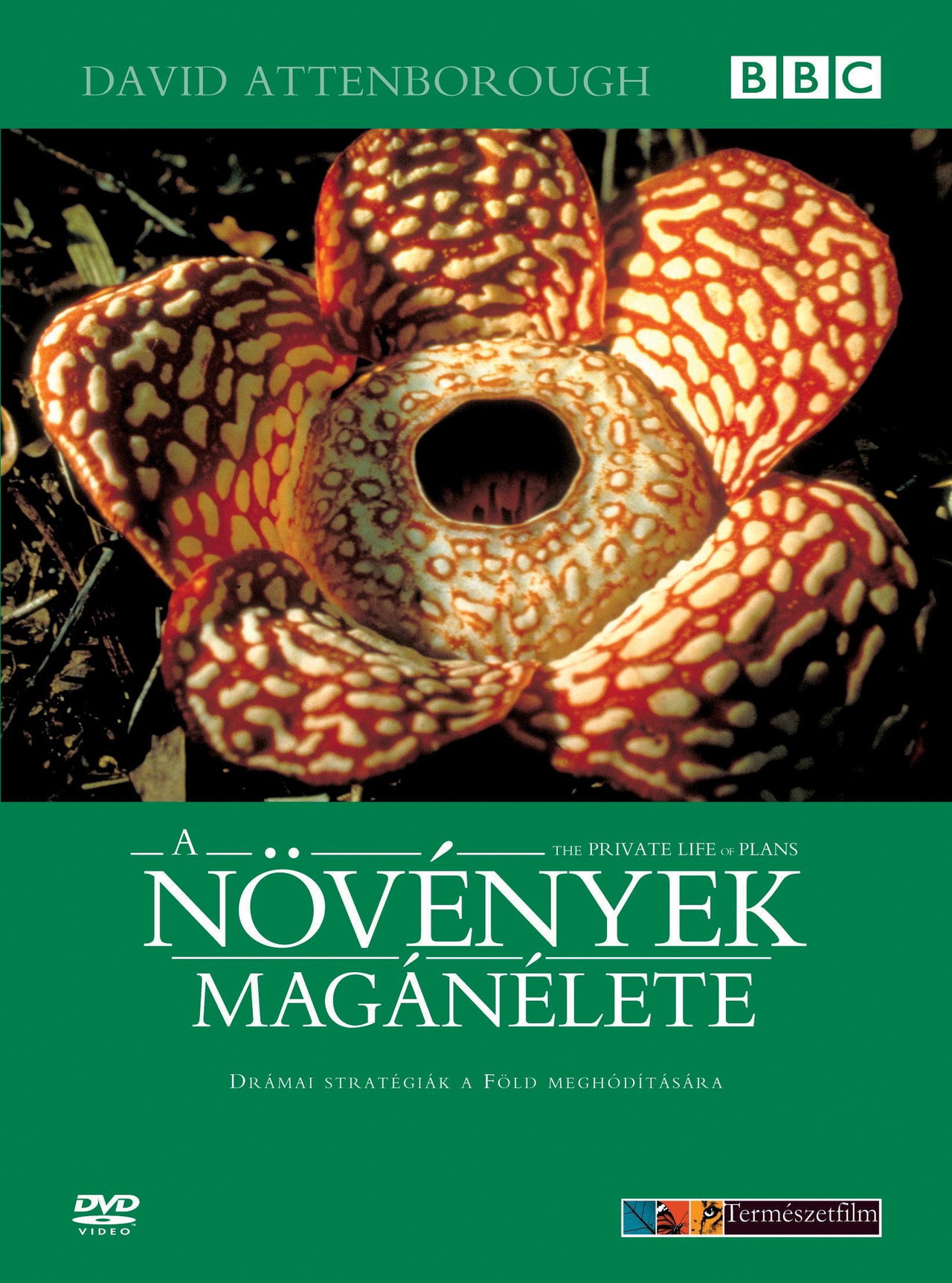 A növények magánélete – plakát 6