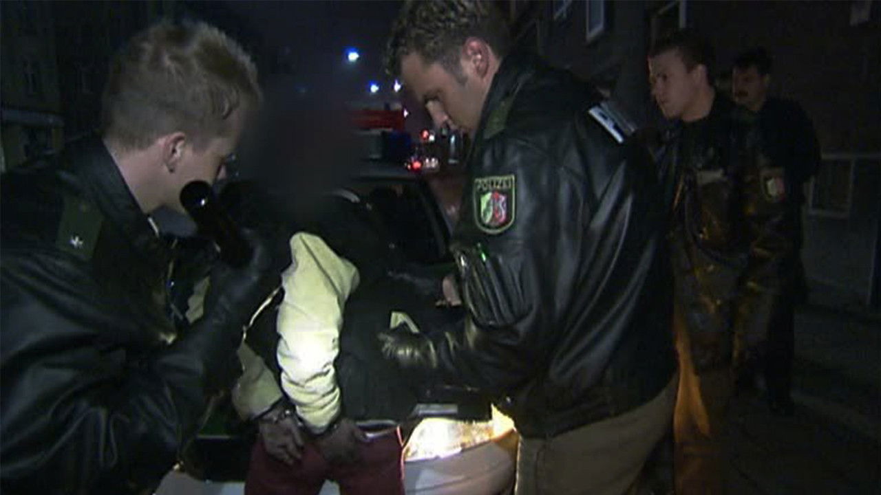 Toto & Harry — Épisode 8