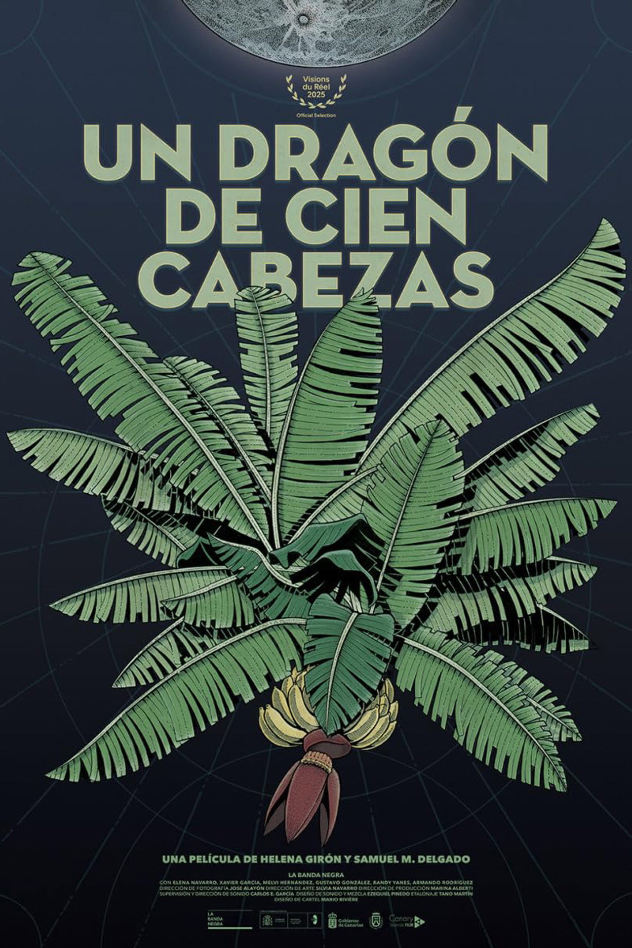 Un dragón de cien cabezas filmaffisch