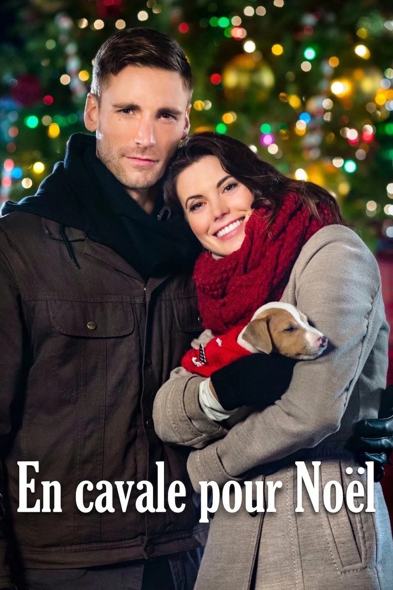 En cavale pour Noël poster