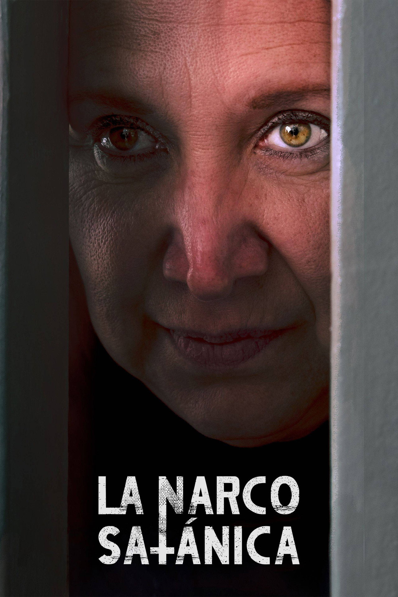 Póster de La Narcosatánica