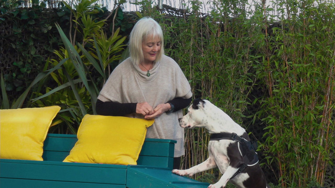 The Dog House NZ — Épisode 4