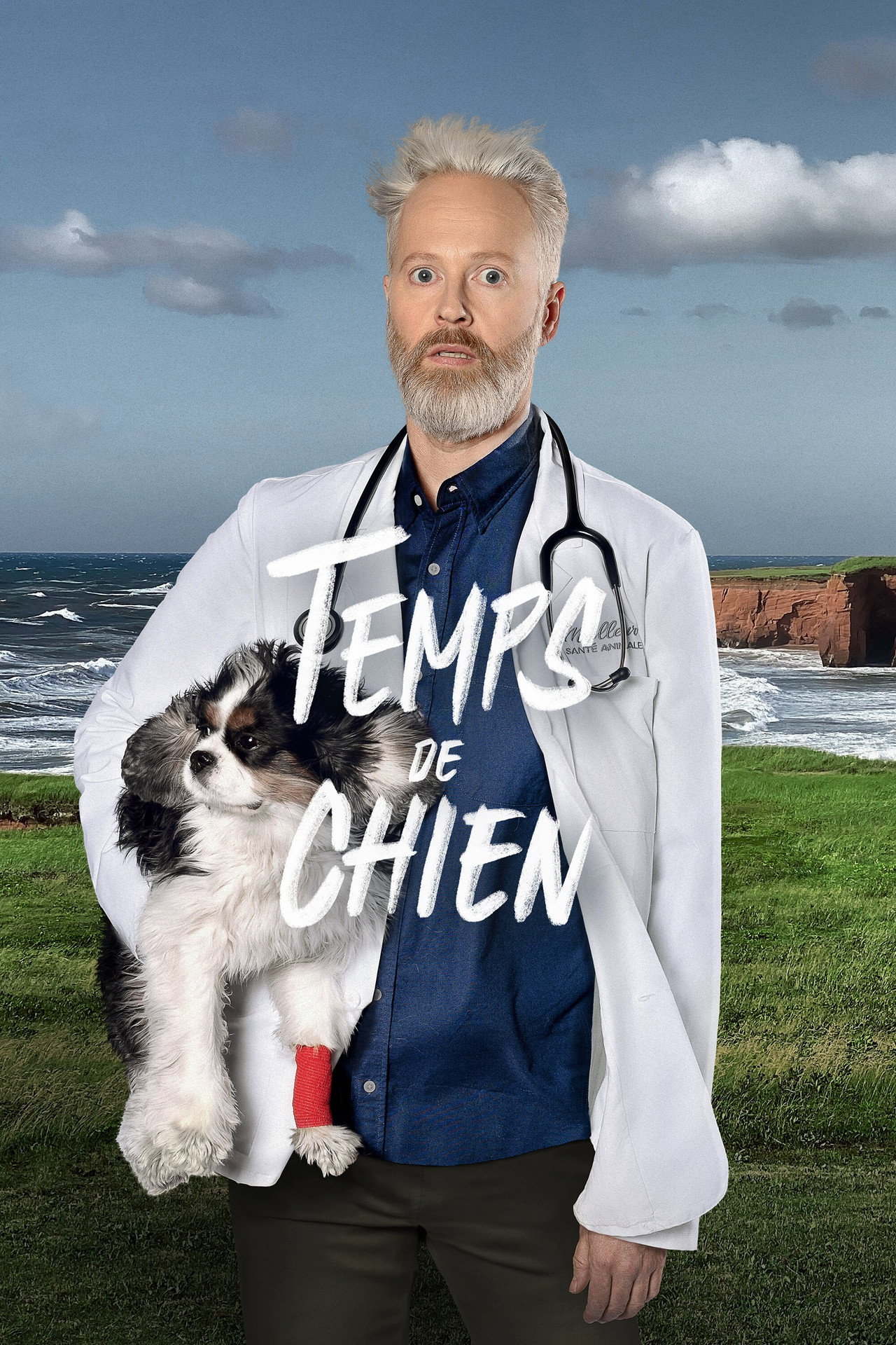 Temps de chien affisch