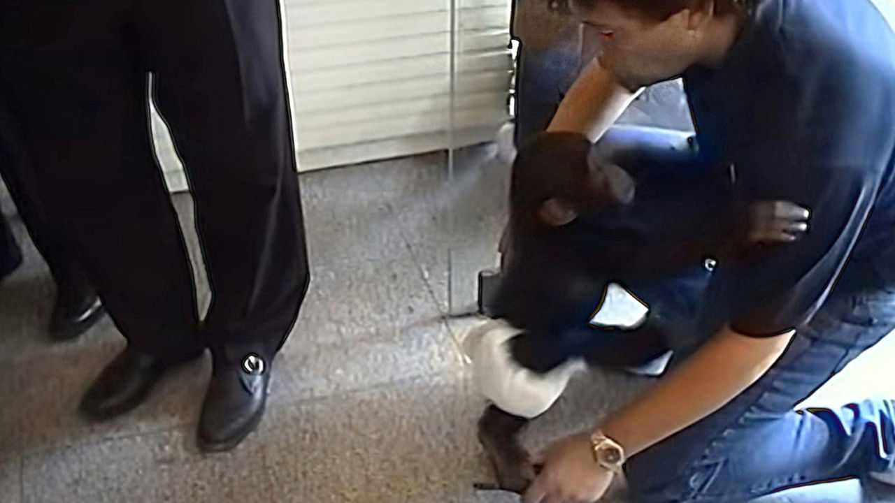 Monkey Business — Épisode 4