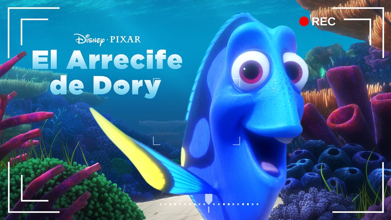 Dory's Reef Cam background