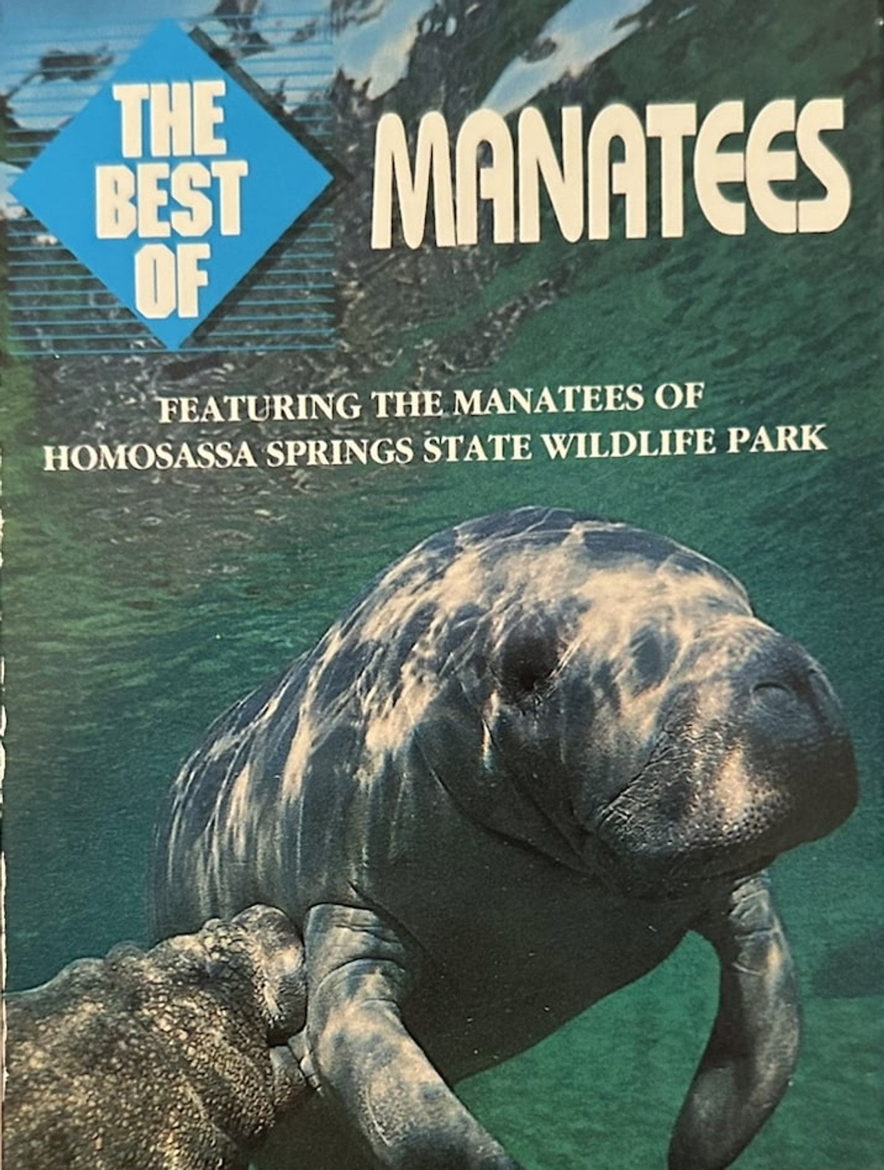Manatees poster
