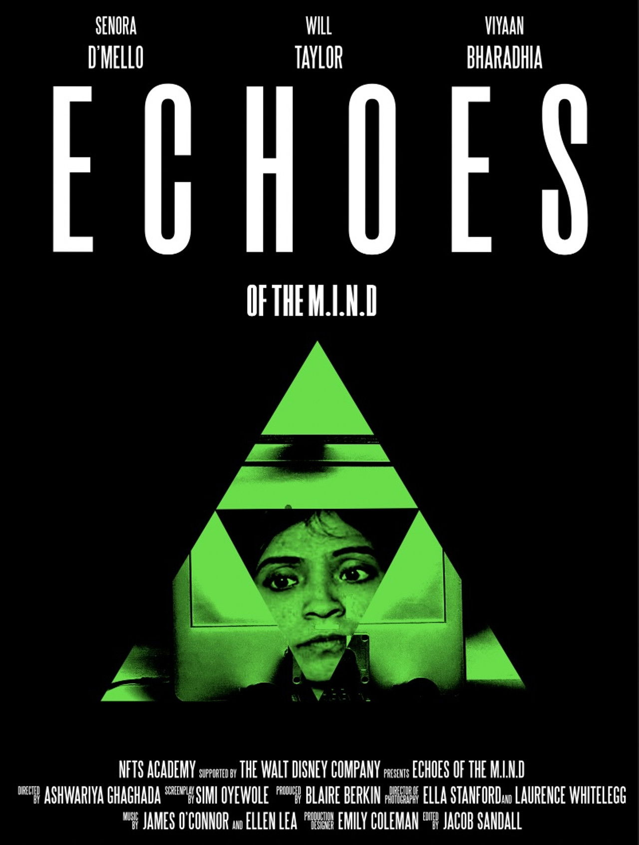 Echoes of the M.I.N.D.