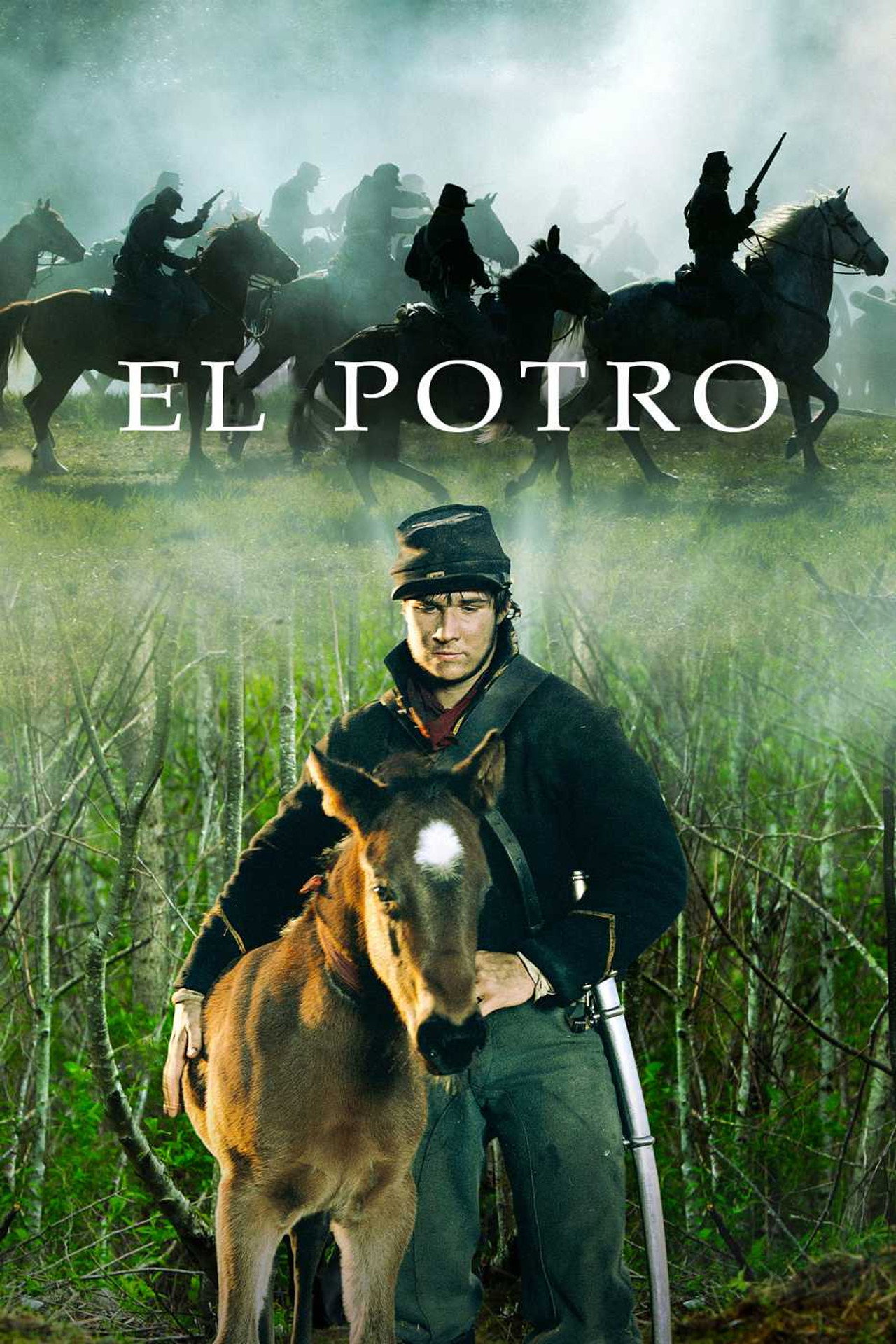 A csikó – plakát 4