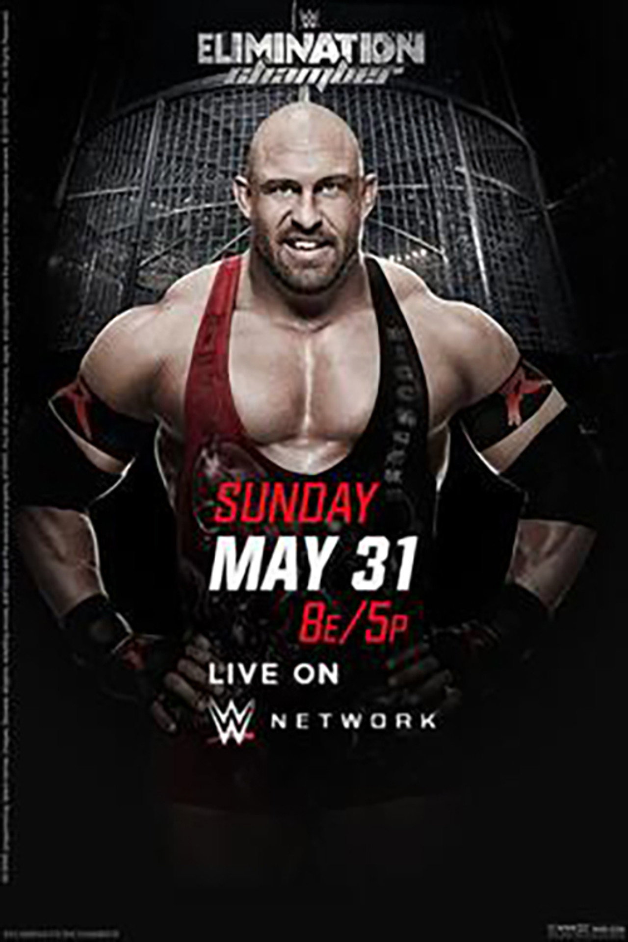 WWE Elimination Chamber 2015 still 5