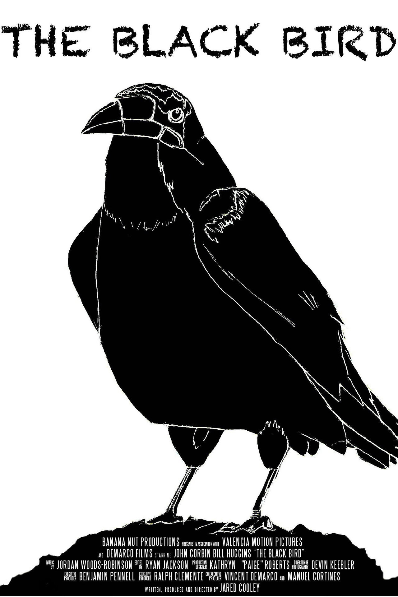 The Black Bird filmaffisch