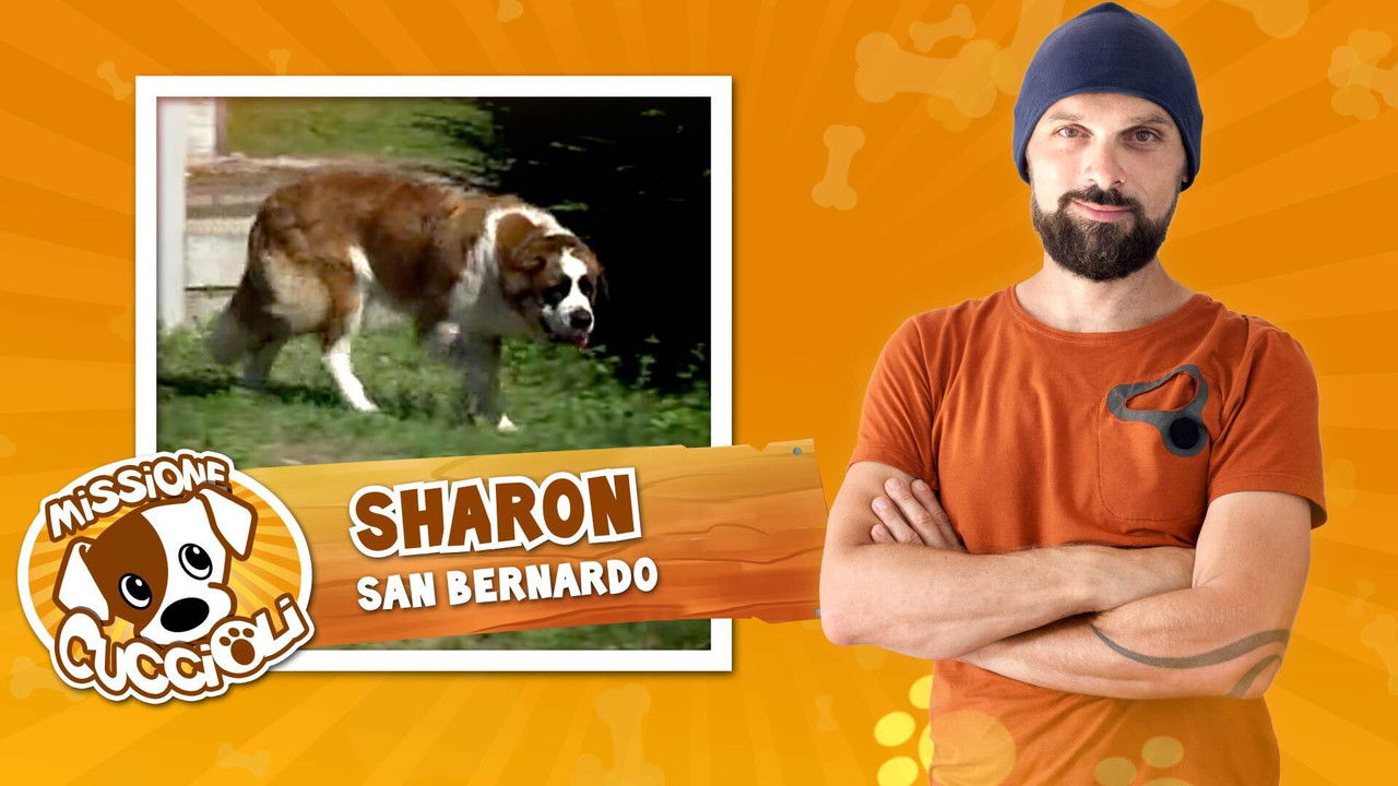 Missione cuccioli — Épisode 4