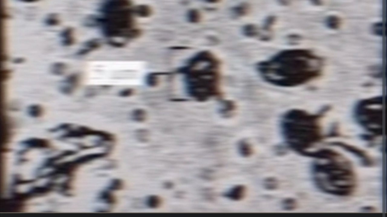 title image