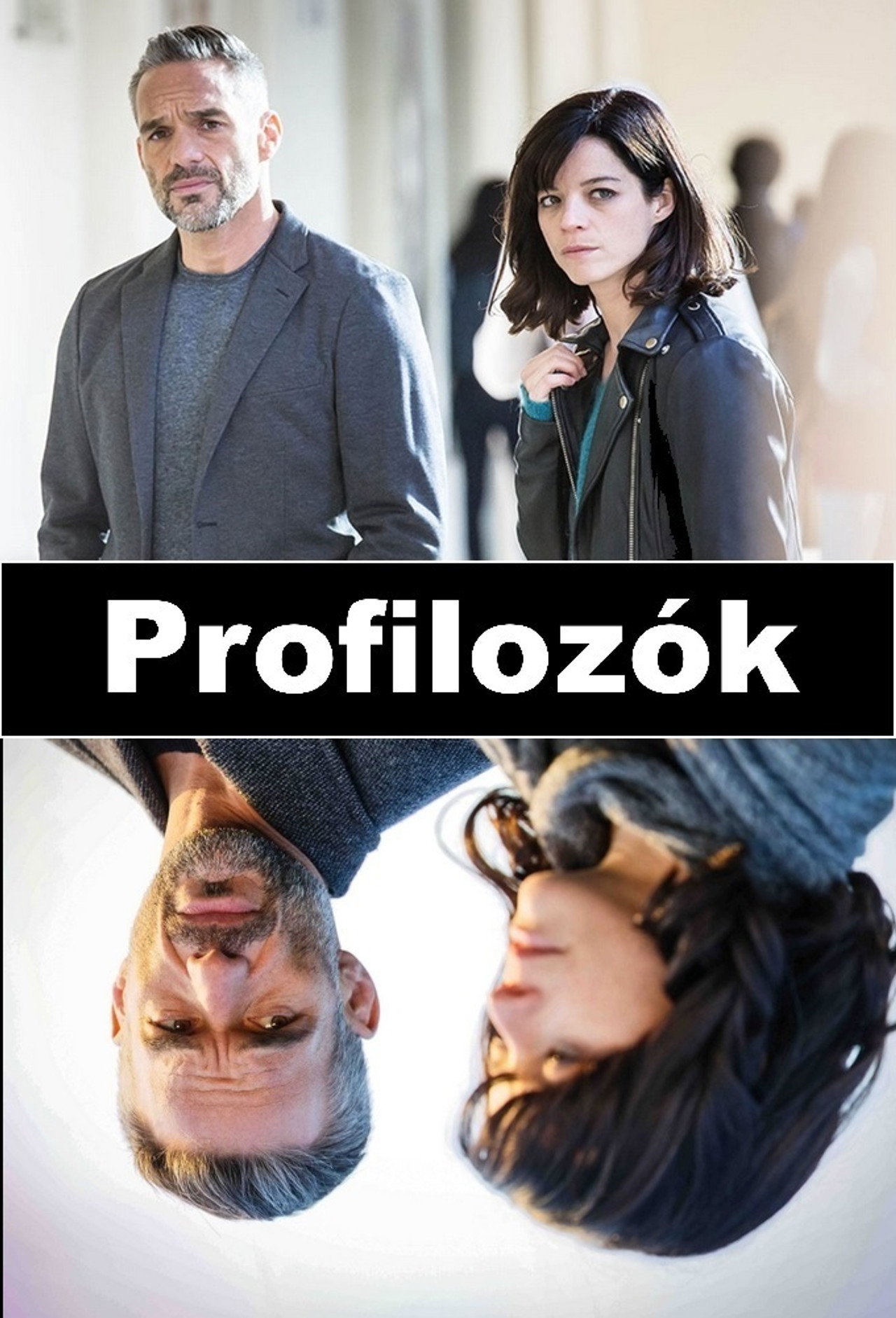 Profilozók – plakát 5