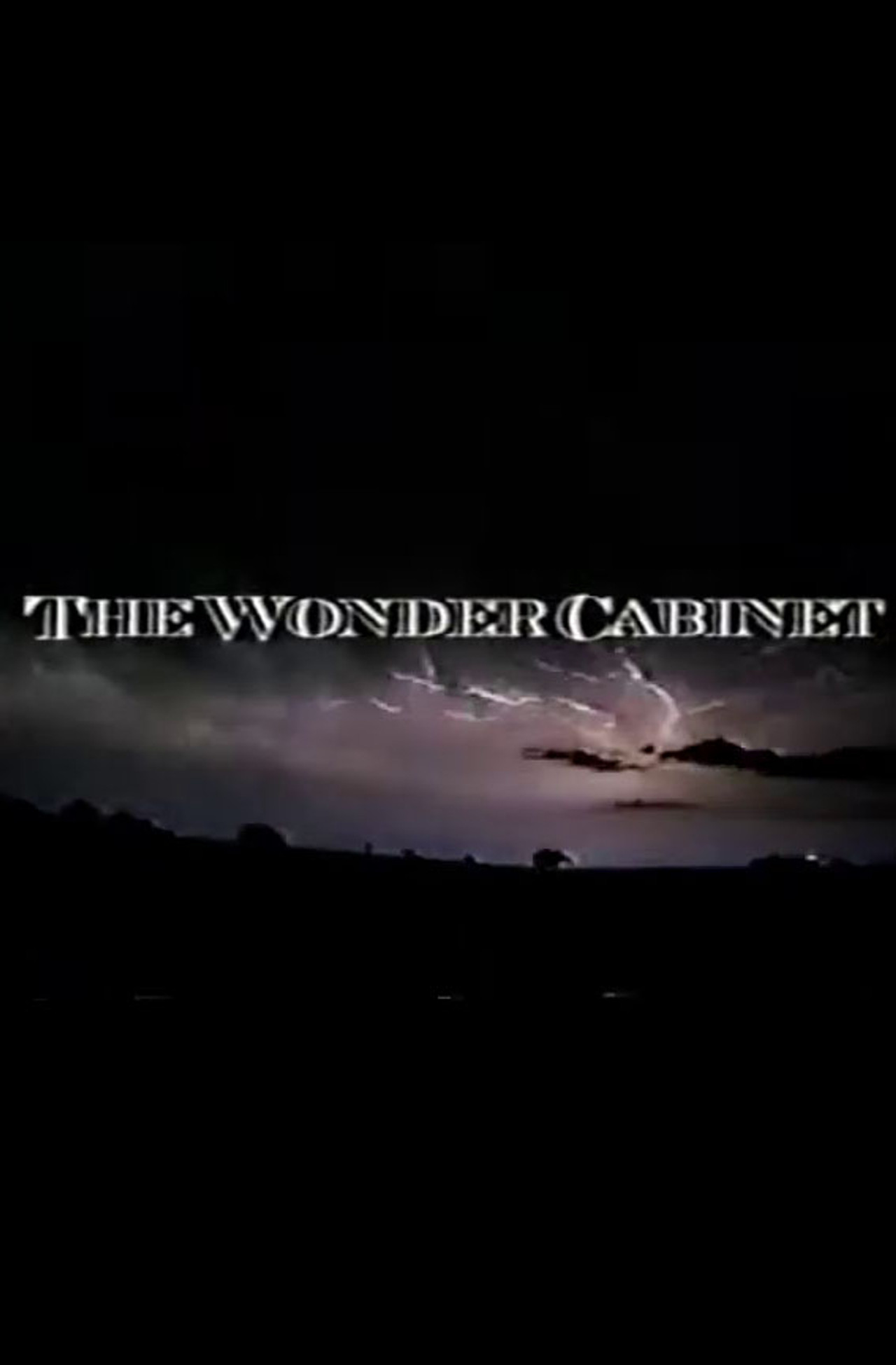 The Wonder Cabinet