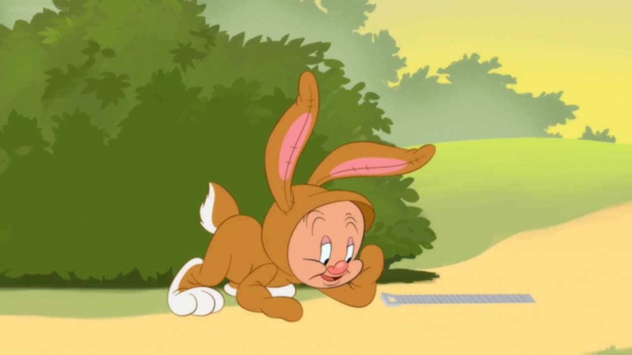 Looney Tunes Cartoons - Season 1 Episode 58 : Fudds Bunny