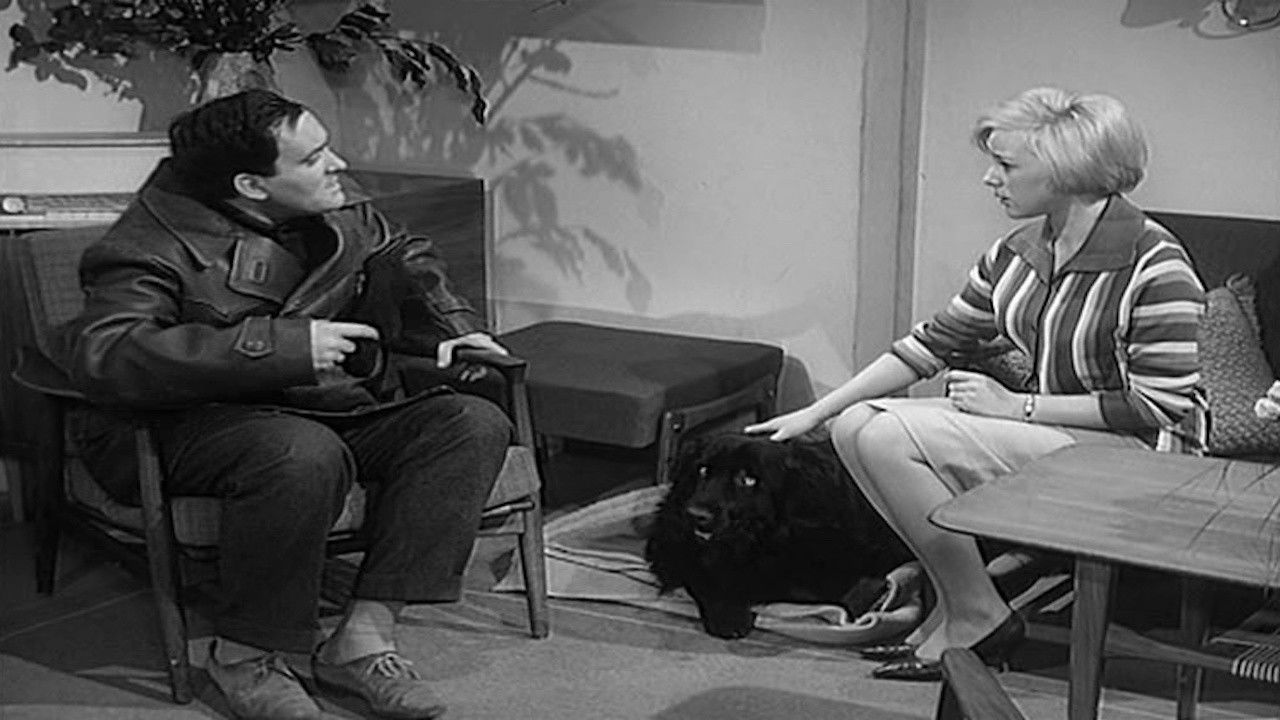 Meine Frau Susanne — Épisode 10