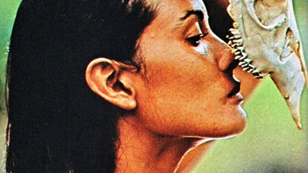 title image