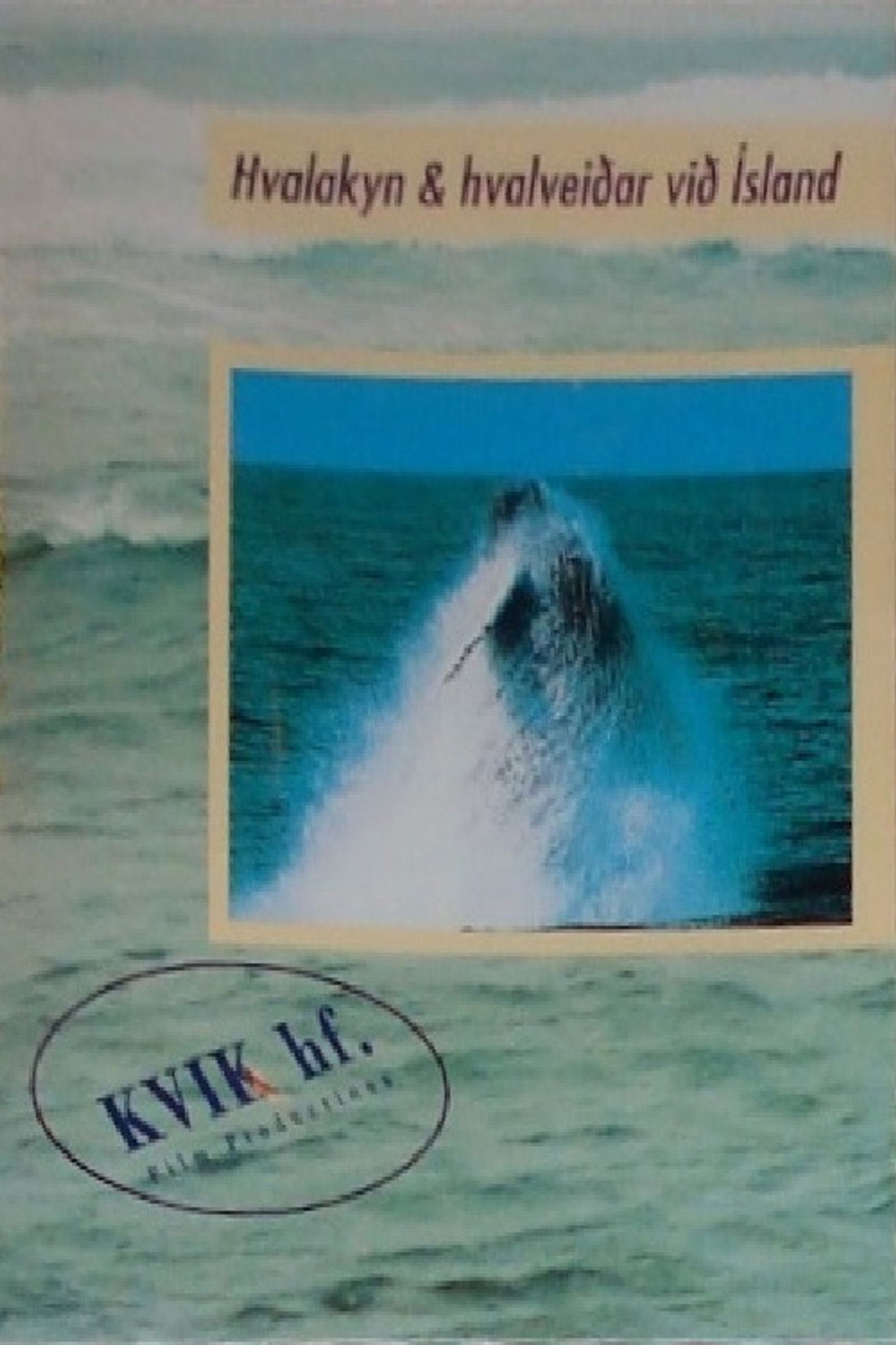 Iceland Whaling poster