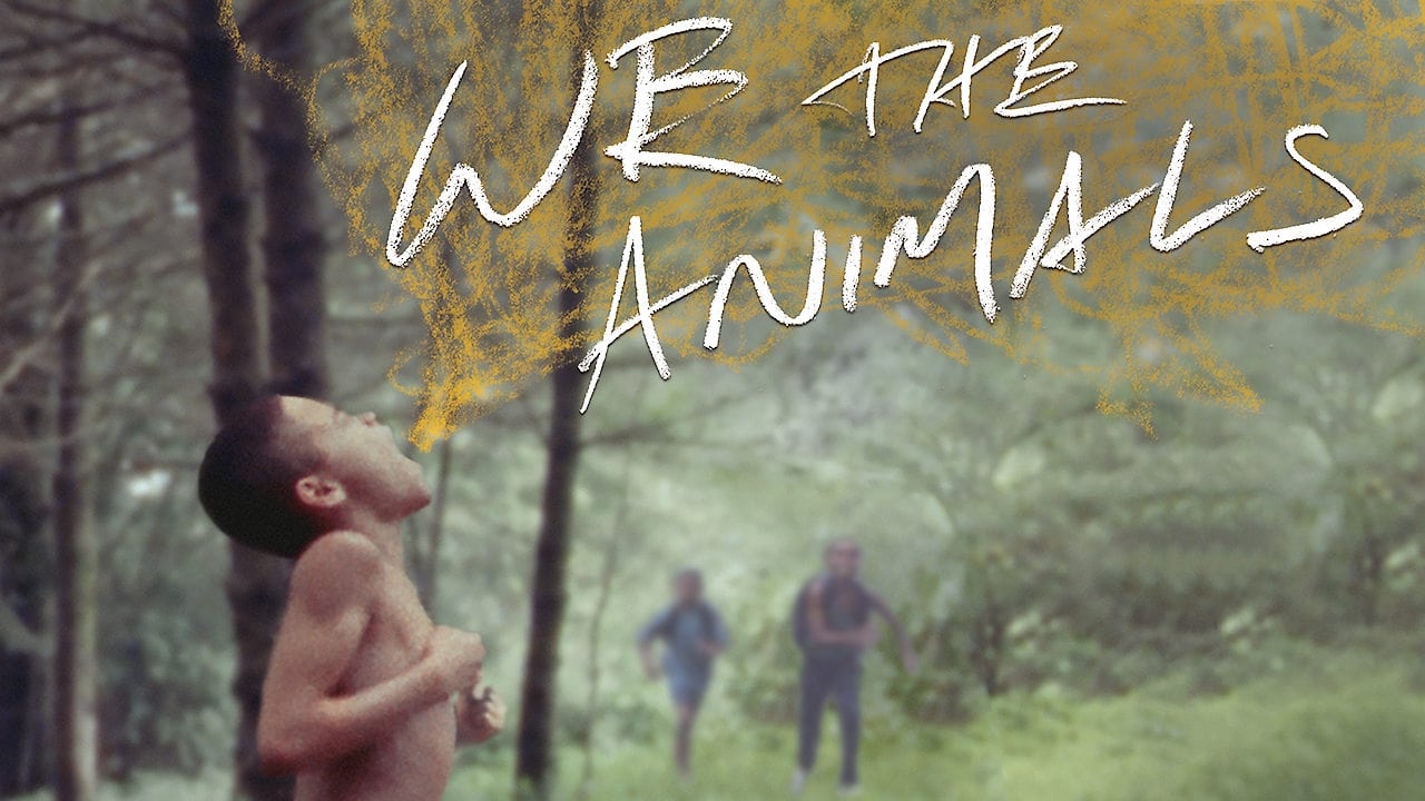 We the Animals background