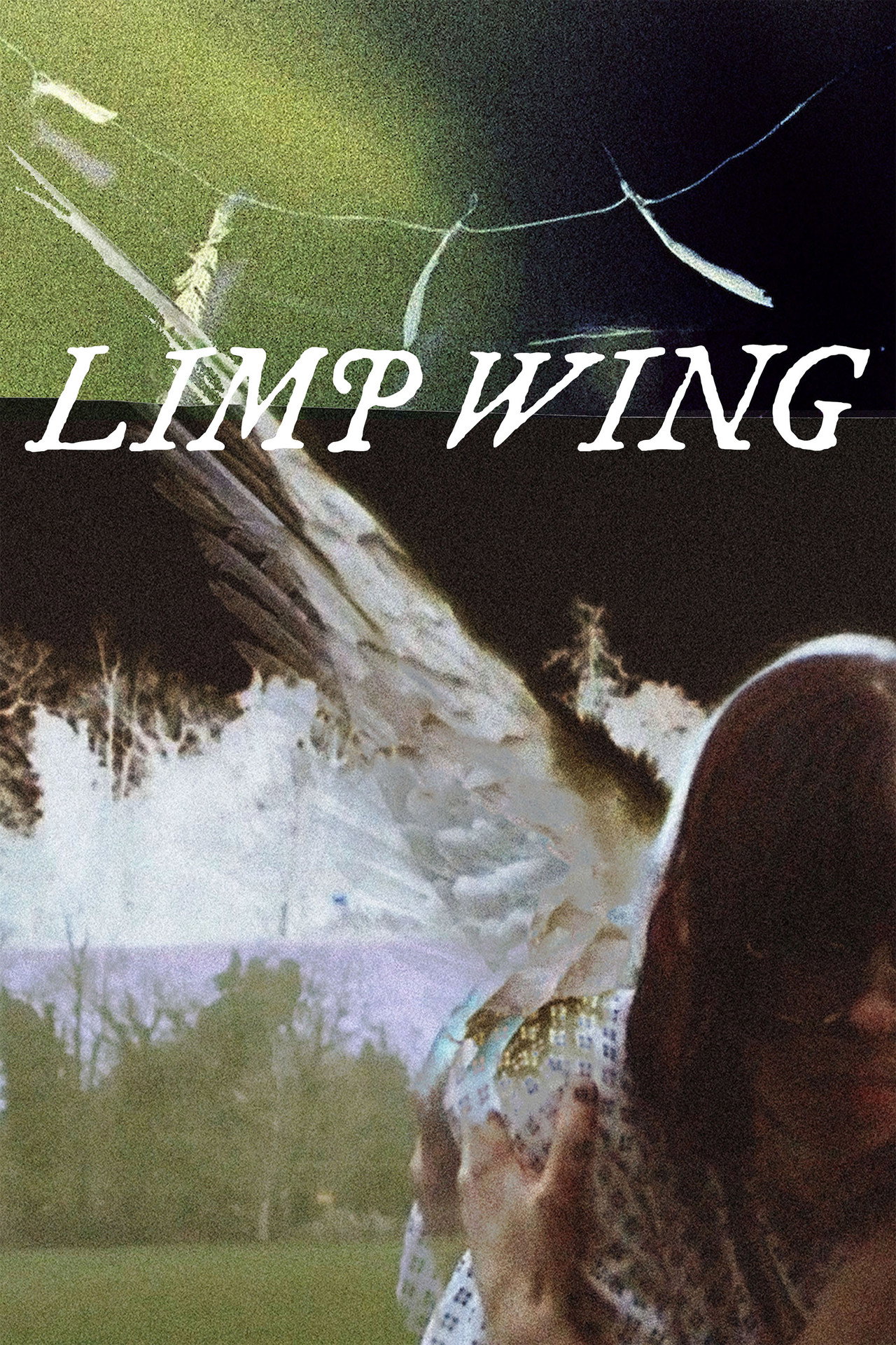 Limp Wing