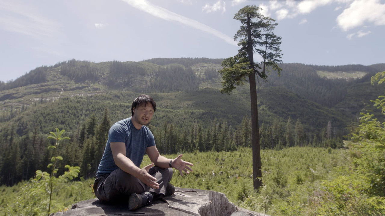 Tegenlicht — Épisode 1