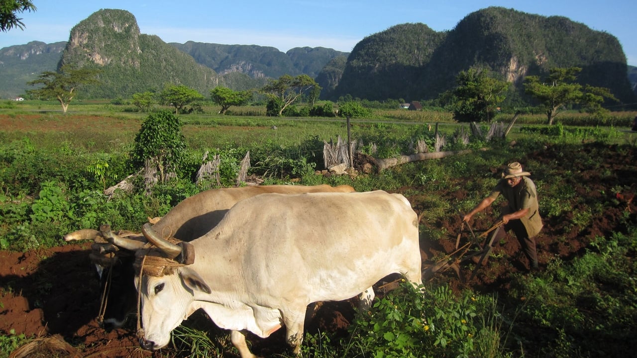 Cuba: The Accidental Eden