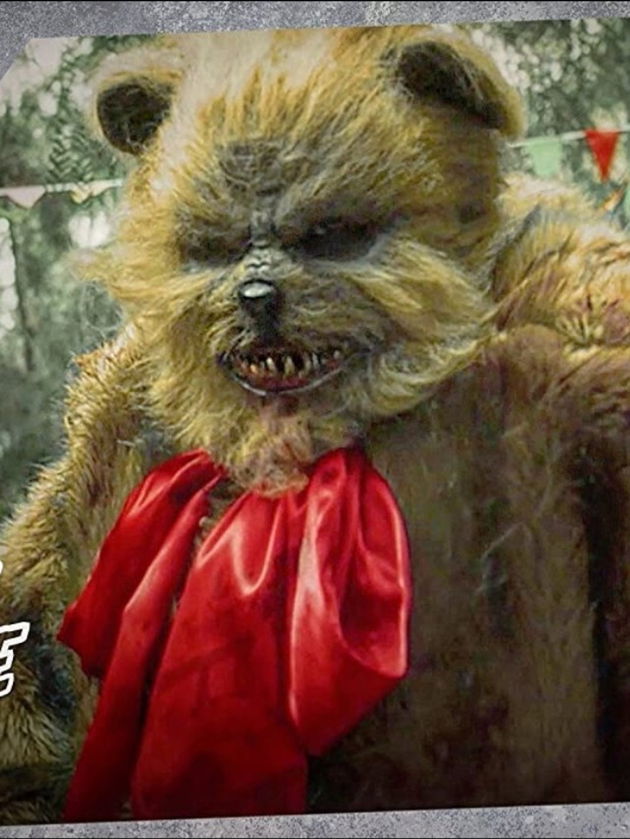 The Teddy Bear's Picnic Backdrop