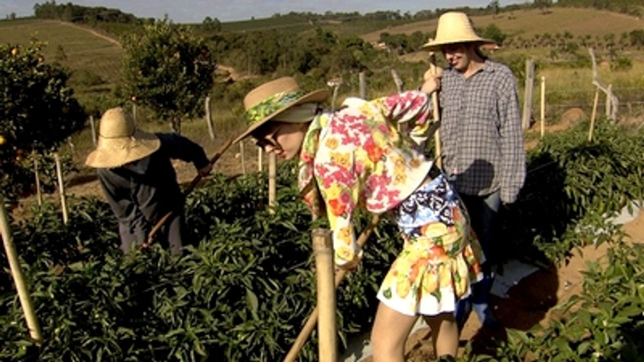 Adotada — Épisode 12