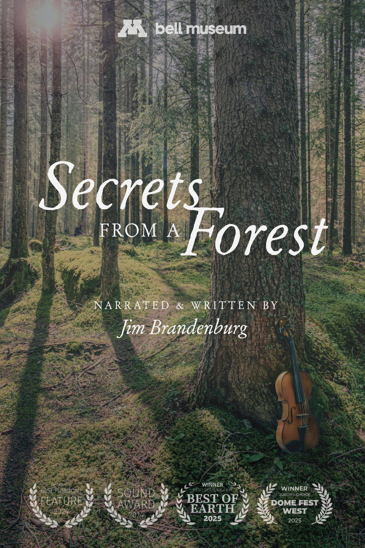 Secrets From a Forest