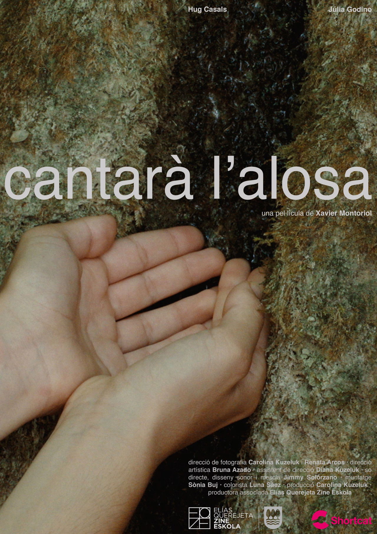 The Skylark Will Sing Backdrop