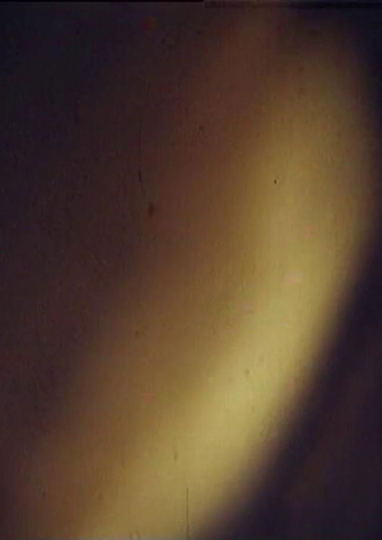 Petty-Bourgeois Dracula Idyll at the Family Table Backdrop