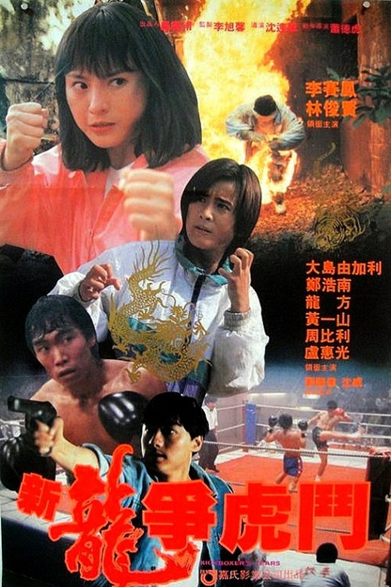 新龍爭虎鬥 filmaffisch
