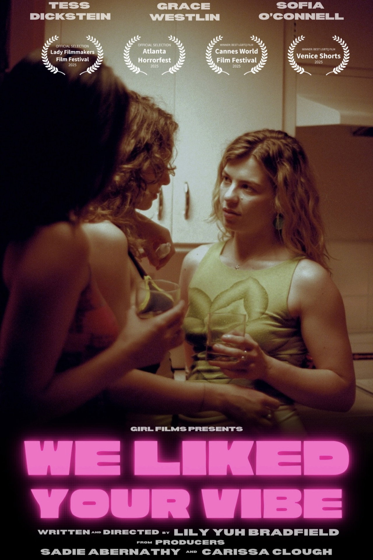 We Liked Your Vibe filmaffisch