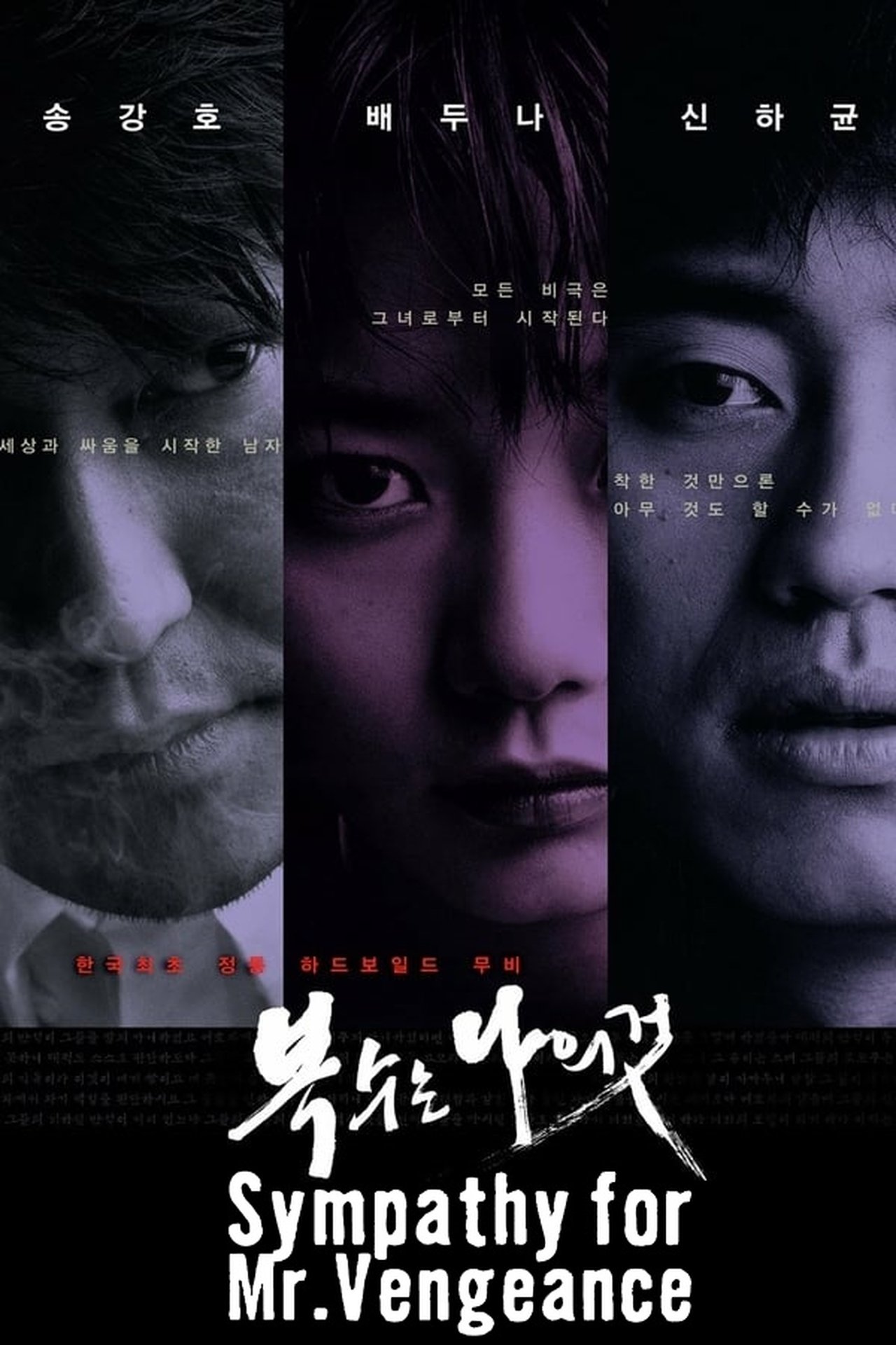 Sympathy For Mr Vengeance subtítulos