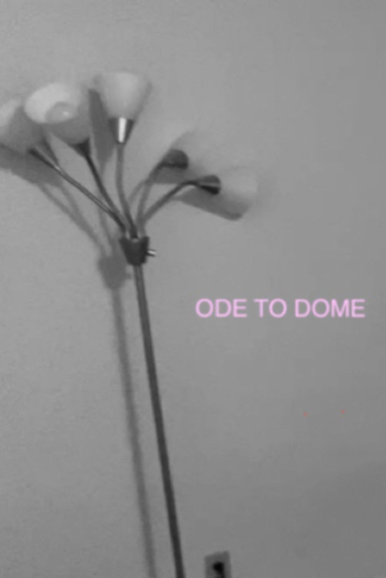 Ode To Dome Backdrop