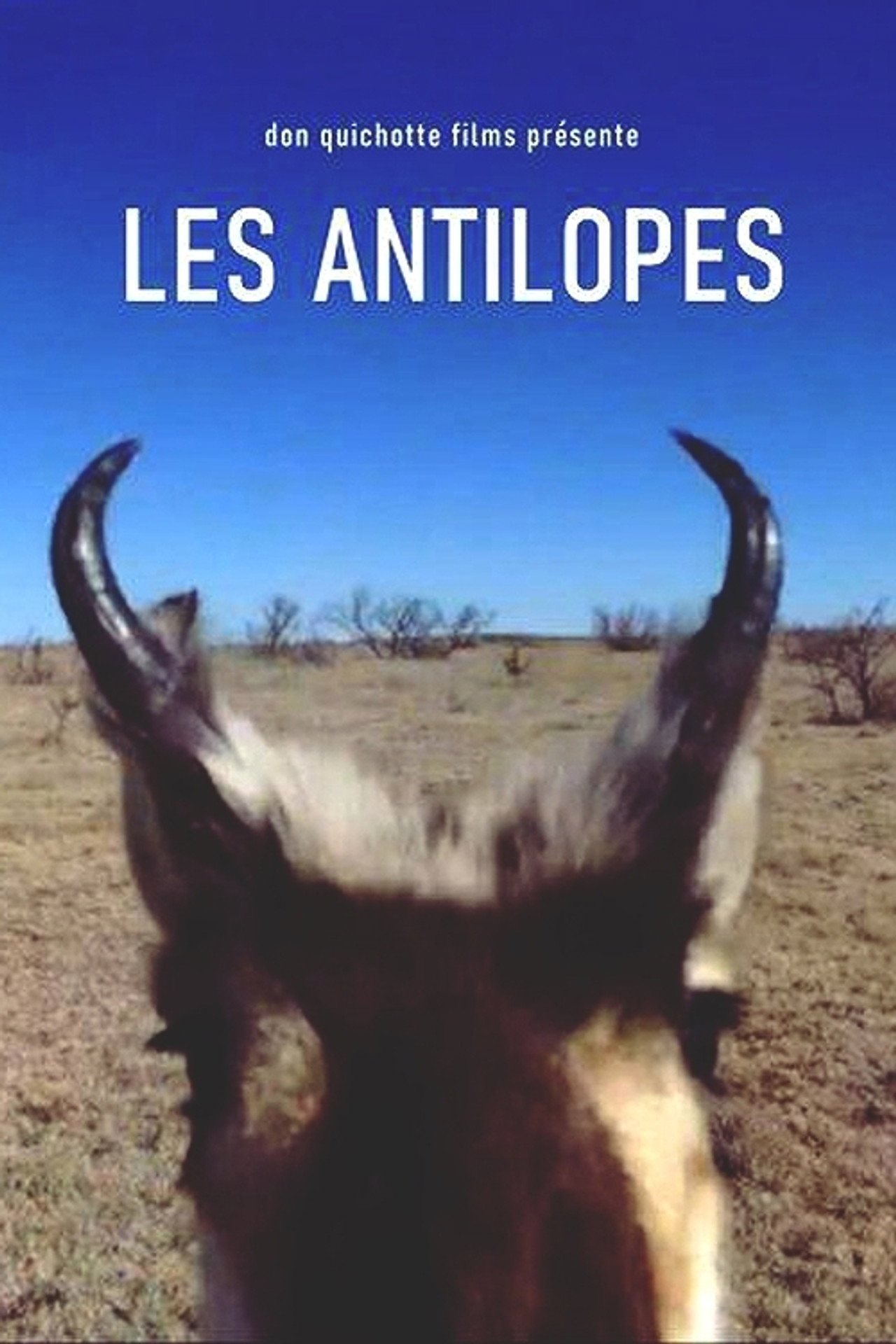 Les Antilopes filmaffisch