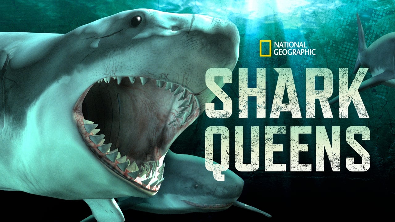 Shark Queens background