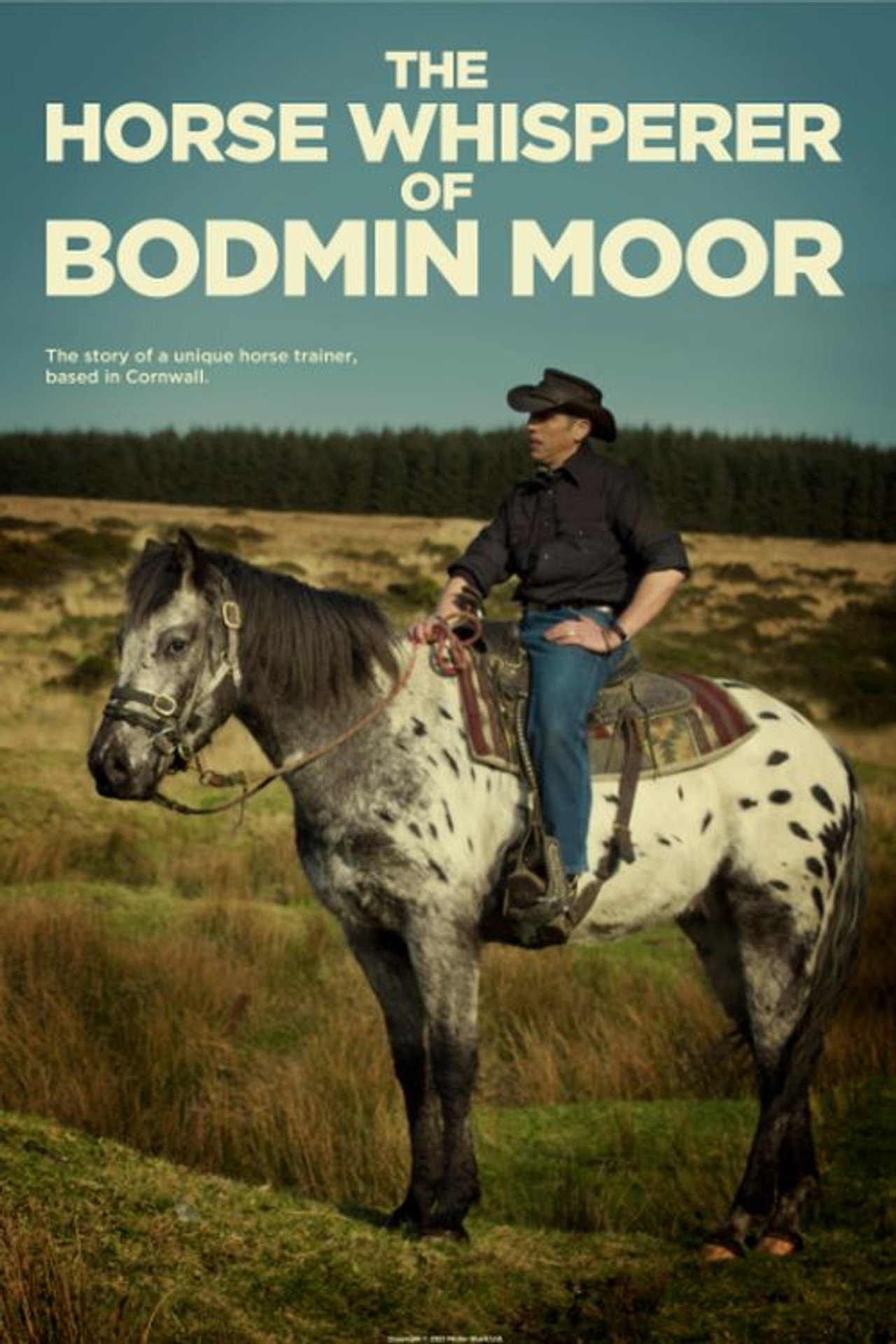 The Horse Whisperer of Bodmin Moor poster