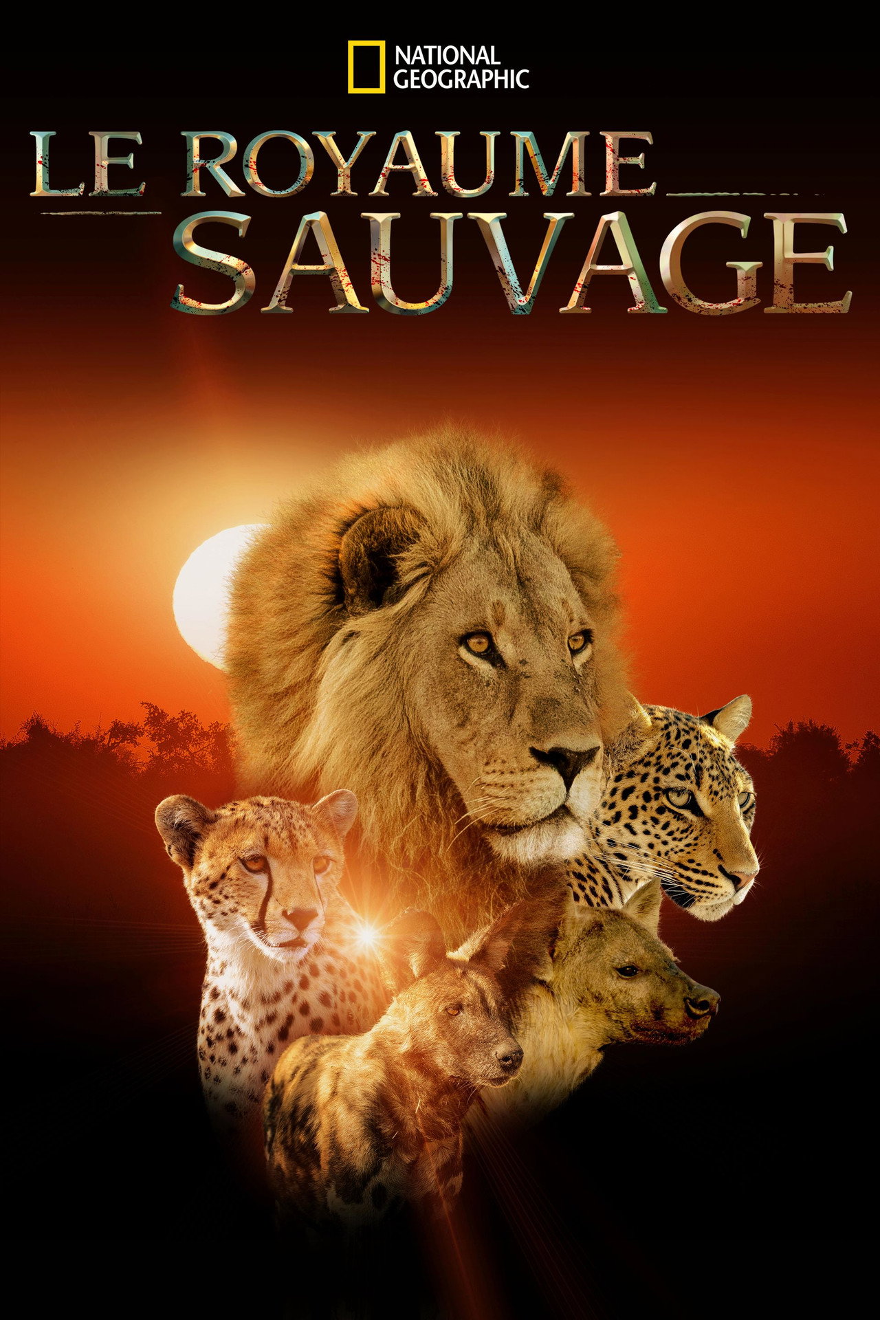 Le Royaume Sauvage poster